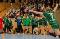 Sportfotografie DHB Deutschland Cup HV Sachsen HV BaW&uuml; Olaf Kerber 009