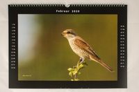 Wandkalender Tiere Naturfotografie Wildlifefotografie Nikon 004