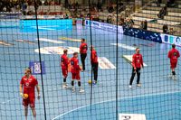 Sportfotografie Handball ASV Hamm Recken TSV Hannover Olaf Kerber 001