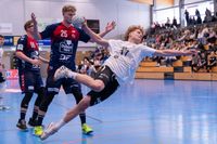 Sportfotografie Handball THW Kiel SG Flensburg Handewitt Olaf Kerber 005