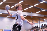 Sportfotografie Handball THW Kiel SG Flensburg Handewitt Olaf Kerber 010