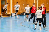Sportfotografie Handball Bundesliga THW Kiel SG Flensburg Olaf Kerber 010