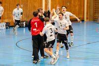 Sportfotografie Handball Bundesliga THW Kiel SG Flensburg Olaf Kerber 011