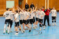 Sportfotografie Handball Bundesliga THW Kiel SG Flensburg Olaf Kerber 015