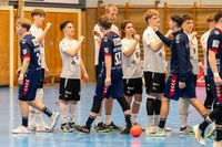 Sportfotografie Handball Bundesliga THW Kiel SG Flensburg Olaf Kerber 022