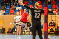 Olaf Kerber Handball DHB D-Cup Samstag Hannover 007