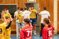 Sportfotografie Handball THW Kiel Schwerin Olaf Kerber 002
