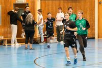 Sportfotografie Handball THW Kiel Schwerin Olaf Kerber 004