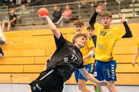 Sportfotografie Handball THW Kiel Schwerin Olaf Kerber 013