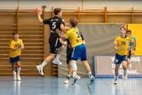 Sportfotografie Handball THW Kiel Schwerin Olaf Kerber 015