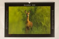 Wandkalender Tiere Naturfotografie Wildlifefotografie Nikon 001