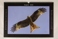 Wandkalender Tiere Naturfotografie Wildlifefotografie Nikon 006