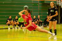 Sportfotografie Handball Westfalenturnier 2023 Olaf Kerber 009