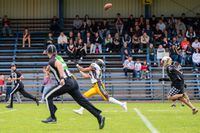 Olaf Kerber GFL PAD Dolphins BER Adler 019